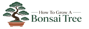 how to grow a bonsai tree